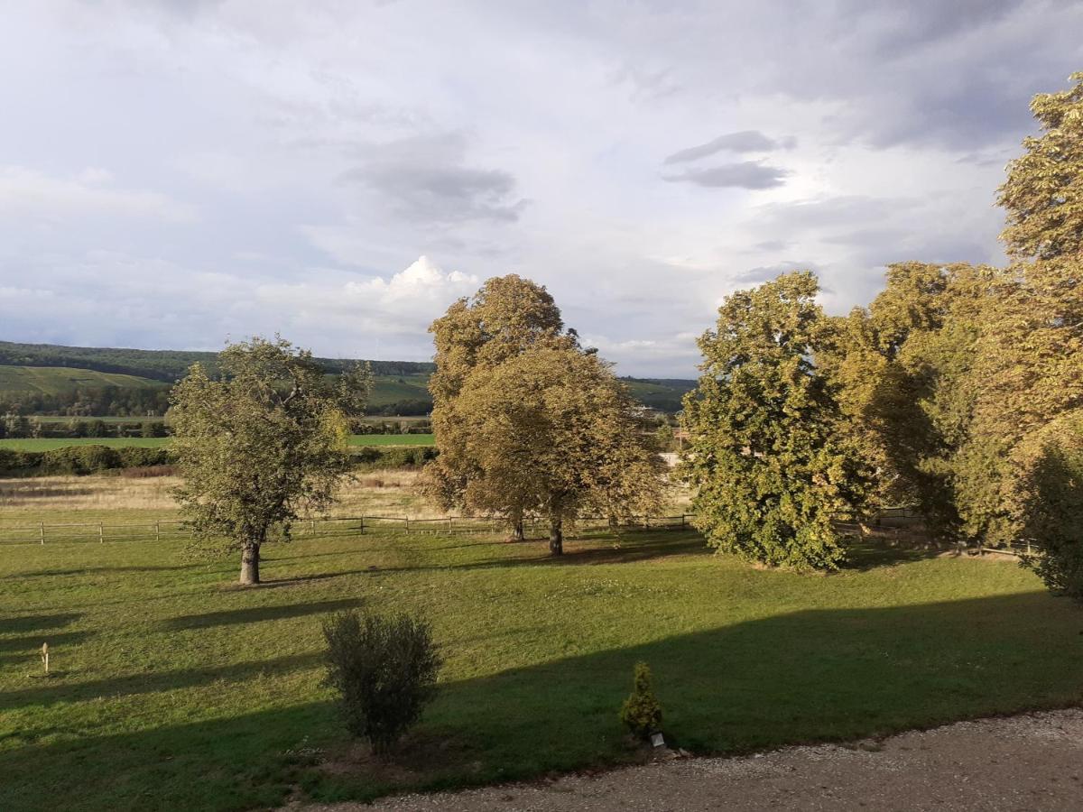 Domaine-De-La-Borde A Epernay Bed and Breakfast Mardeuil Eksteriør billede